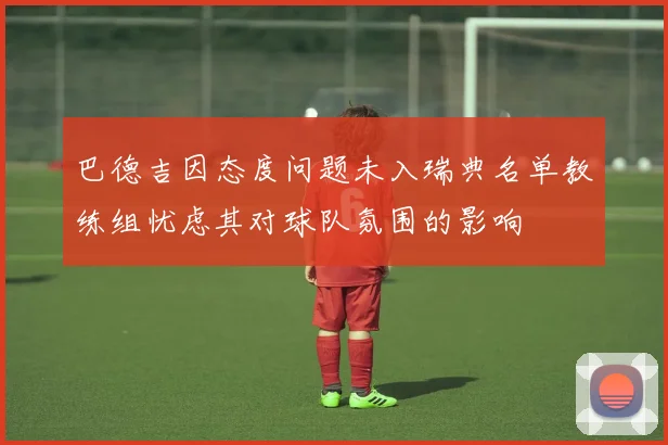 巴德吉因态度问题未入瑞典名单教练组忧虑其对球队氛围的影响